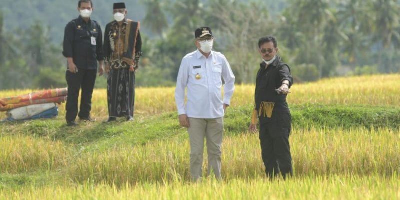 Gubernur Aceh Nova Iriansyah saat mendampingi kunjungan kerja Menteri Pertanian (Mentan) RI, Syahrul Yasin Limpo, dalam rangka gerakan panen padi di Gampong Blang Miro, Kecamatan Simpang Tiga, Aceh Besar, Jumat (4/3/2022).