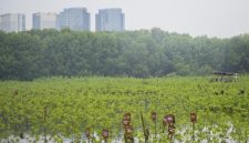 Studi menjelaskan meskipun pengurangan emisi yang ketat dimulai dari sekarang, Bumi masih mungkin melewati ambang batas 1,5 derajat Celcius. (ANTARA FOTO/MUHAMMAD RAMDAN)