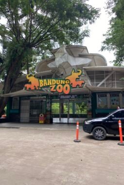 Geopix Kritik Kematian Dua Anak Harimau Benggala di Bandung Zoo