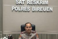 Kasat Reskrim Bireuen AKP Dedi Miswar. Foto/ist