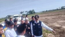Anggota DPR RI, T.A. Khalid bersama Satgas Galapana saat meninjau sawah rusak di  Pidie Jaya, Jum’at, 22 Mei 2026. Foto : Ist