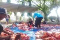 Pegawai Kantor Kementerian Agama (Kankemenag) Pidie Jaya sedang menyiapkan pembagian daging qurban, Kamis, 28 Mei 2026. Foto : Ist